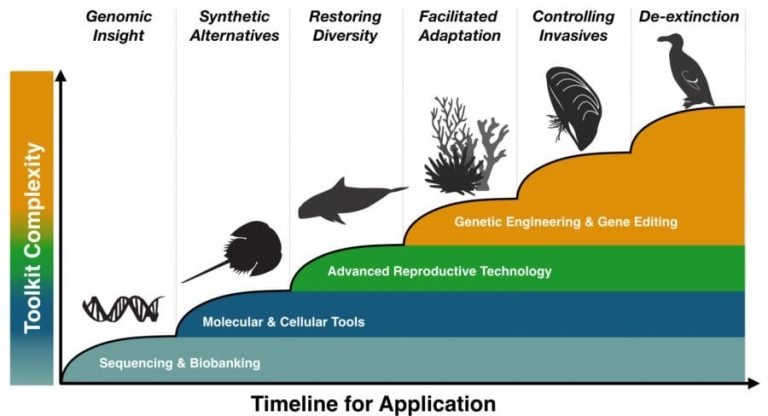 Building a Genetic Rescue Toolkit for Conservation - Gene Drive Network