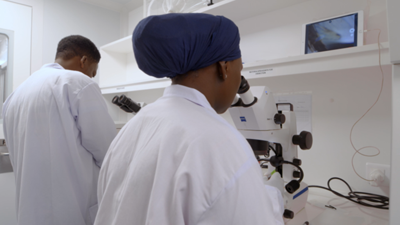 Researchers in the Transmission Zero laboratory at the Ifakara Health Institute