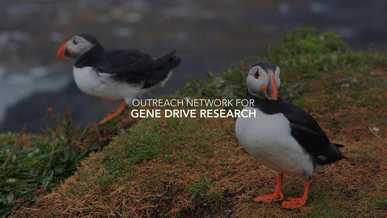 Outreach network for gene drive research